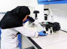 برگزاری مجازی کلاس‌های عملی معنایی ندارد / درخواست کمیسیون آموزش از وزارت علوم برای نحوه تدریس دروس